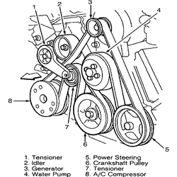 Picture of 5.4L Ford V8 Belt Diagram