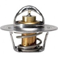Picture of engine thermostat